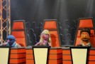 The Voice