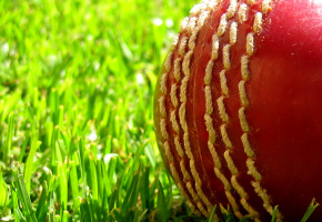 cricket-ball