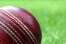 cricket_ball