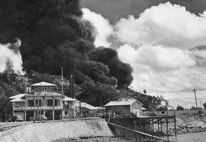 darwin-bombing