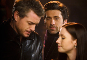 greys1