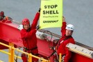 li-lucy-lawless-shell