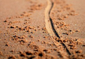 line-sand