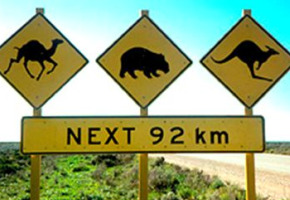 nullarbor
