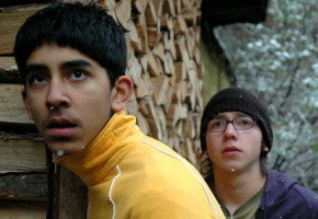 skins