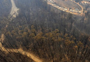 vicfire